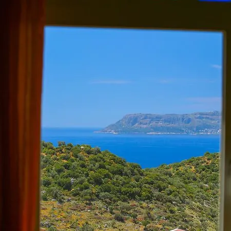Yellow Apart * Kaş